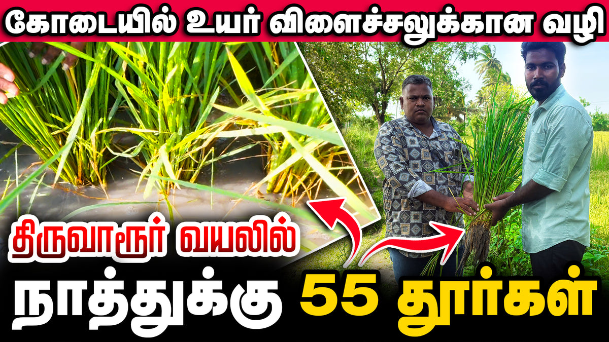 Reduced Cultivation Costs, Greater Savings This Season.