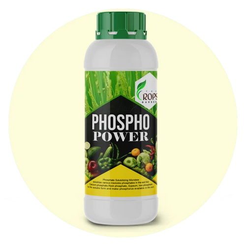 PHOSPHO POWER – Organic Phosphorus Solubilizing Biofertilizer | Phospho Bacteria for All Crops | Boosts Root Growth & Yield
