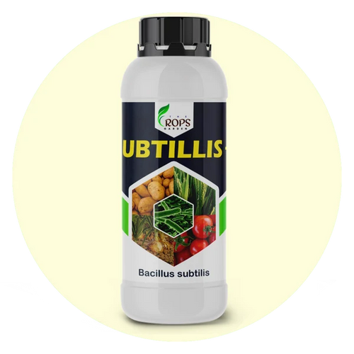 SUBTILLIS PLUS – Organic Biological Fungicide | Bacillus subtilis for All Crops | Protects Against Fungal Diseases & Boosts Immunity