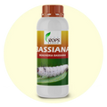 BASSIANA – Organic Insecticide & Biological Pesticide | Beauveria bassiana for All Crops | Controls Small Larvae & Harmful Insects Naturally