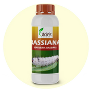 BASSIANA – Organic Insecticide & Biological Pesticide | Beauveria bassiana for All Crops | Controls Small Larvae & Harmful Insects Naturally
