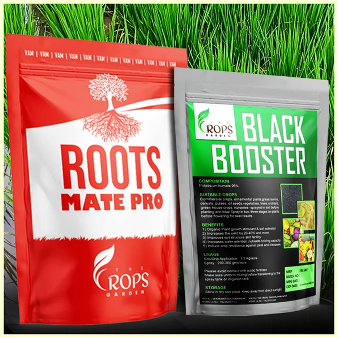 ROOTS MATE PRO and BLACK BOOSTER COMBO