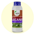 LECANII – Organic Insecticide & Biological Pest Control | Verticillium lecanii for All Crops | Kills Whiteflies, Aphids & More