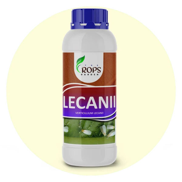 LECANII – Organic Insecticide & Biological Pest Control | Verticillium lecanii for All Crops | Kills Whiteflies, Aphids & More