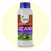 LECANII – Organic Insecticide & Biological Pest Control | Verticillium lecanii for All Crops | Kills Whiteflies, Aphids & More