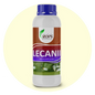 LECANII – Organic Insecticide & Biological Pest Control | Verticillium lecanii for All Crops | Kills Whiteflies, Aphids & More