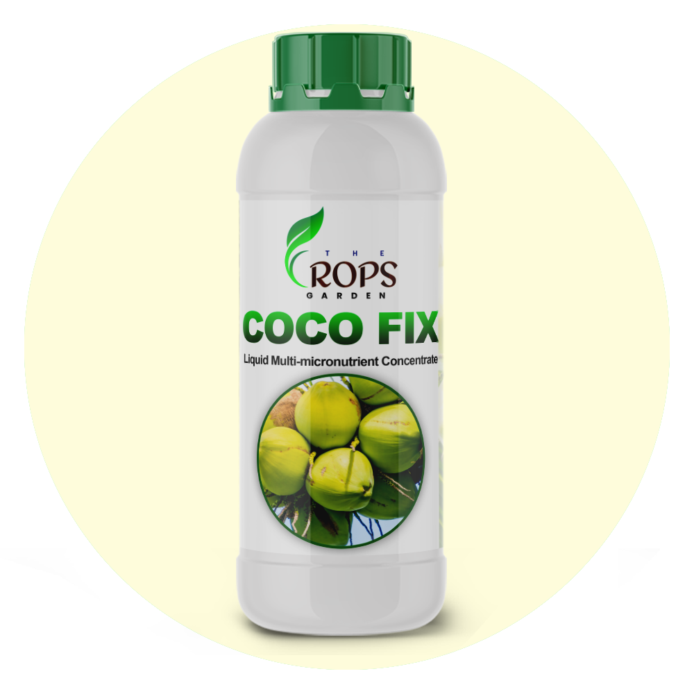 COCO FIX – Chelated Micronutrient Root Feed for Coconuts | Stops Button Shedding & Enhances Size & Shine