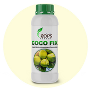 COCO FIX – Chelated Micronutrient Root Feed for Coconuts | Stops Button Shedding & Enhances Size & Shine