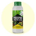 PHOSPHO POWER – Organic Phosphorus Solubilizing Biofertilizer | Phospho Bacteria for All Crops | Boosts Root Growth & Yield