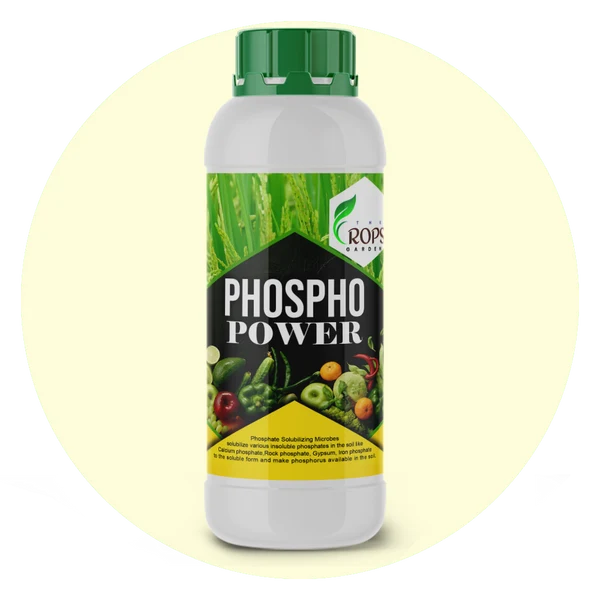 PHOSPHO POWER – Organic Phosphorus Solubilizing Biofertilizer | Phospho Bacteria for All Crops | Boosts Root Growth & Yield