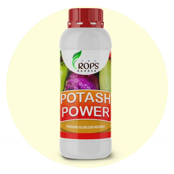 POTASH POWER – Organic Potassium Boosting Biofertilizer | Potash Bacteria for All Crops | Enhances Growth & Yield Naturally
