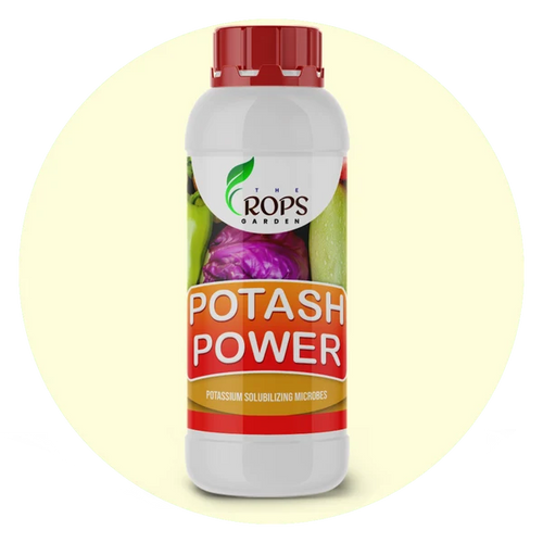 POTASH POWER – Organic Potassium Boosting Biofertilizer | Potash Bacteria for All Crops | Enhances Growth & Yield Naturally