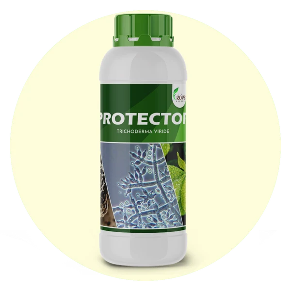 PROTECTOR – Organic Biological Fungicide | Trichoderma viride for All Crops | Shields Plants from Fungal Diseases & Enhances Immunity