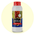SHIELD – Organic Biological Fungicide | Pseudomonas fluorescens for All Crops | Protects Against Fungal Diseases & Boosts Plant Immunity