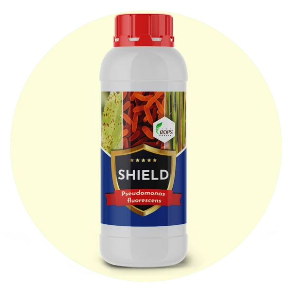 SHIELD – Organic Biological Fungicide | Pseudomonas fluorescens for All Crops | Protects Against Fungal Diseases & Boosts Plant Immunity