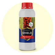 SHIELD – Organic Biological Fungicide | Pseudomonas fluorescens for All Crops | Protects Against Fungal Diseases & Boosts Plant Immunity