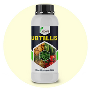 SUBTILLIS PLUS – Organic Biological Fungicide | Bacillus subtilis for All Crops | Protects Against Fungal Diseases & Boosts Immunity