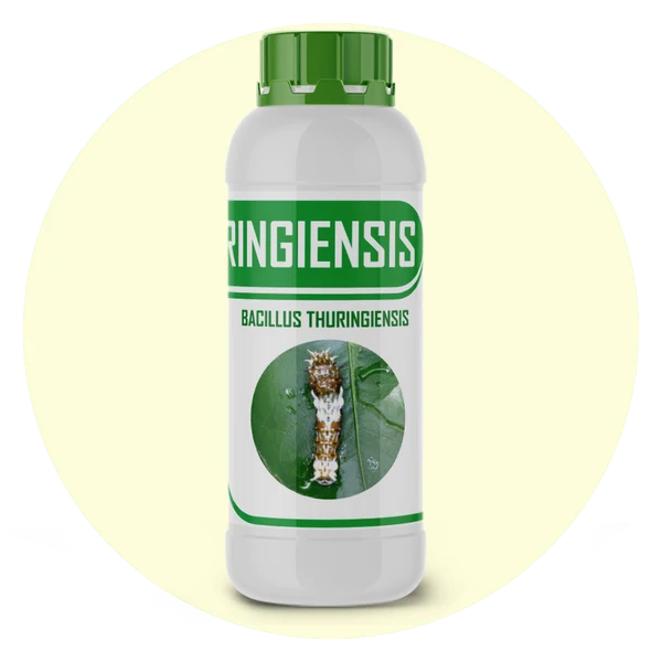 THURINGIENCIES – Organic Larvicide & Biological Pesticide | Bacillus thuringiensis for All Crops | Kills Large-Sized Larvae Effectively