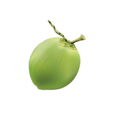 Coconut