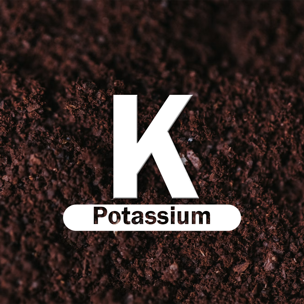 Potassium Coconut