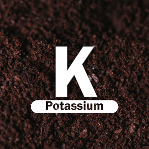 Potassium