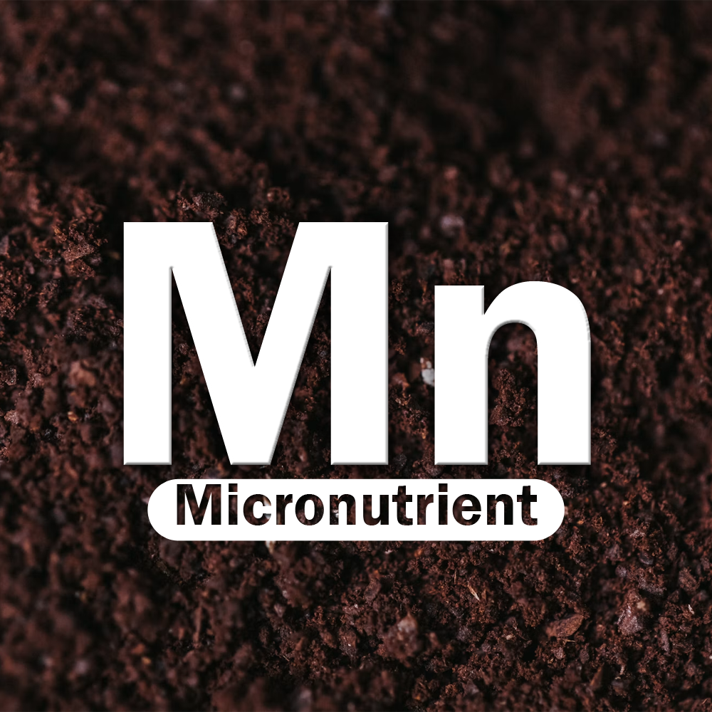 Micronutrients Paddy