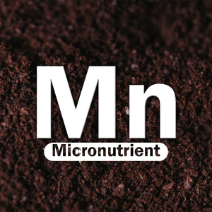 Micronutrients