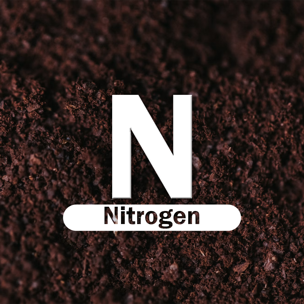 Nitrogen Paddy